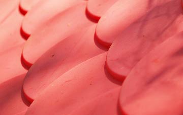 Hainworth plastic roof costs